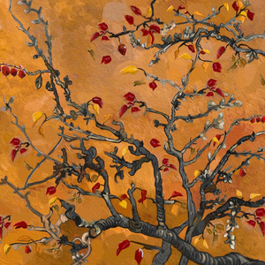 性爱视频中国奶奶
